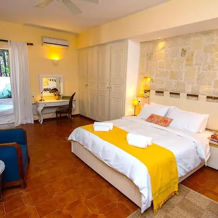 Sunny * Argostoli (Kefalonia)